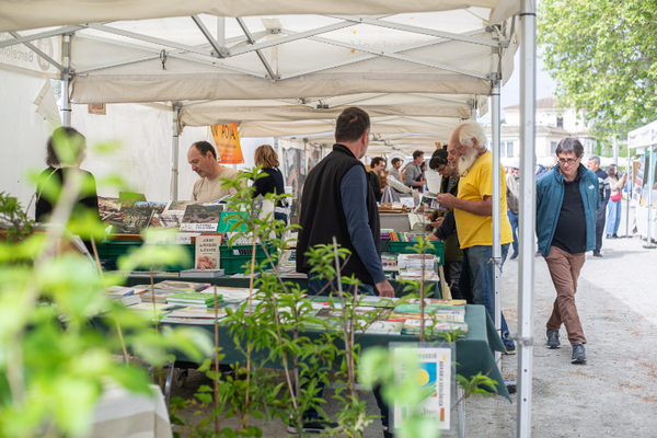 La 15a Fira Lliga't a la Terra ven unes 25.000 unitats de planter