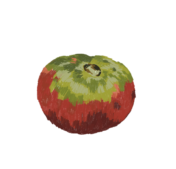 Pometa de Lluís Vila