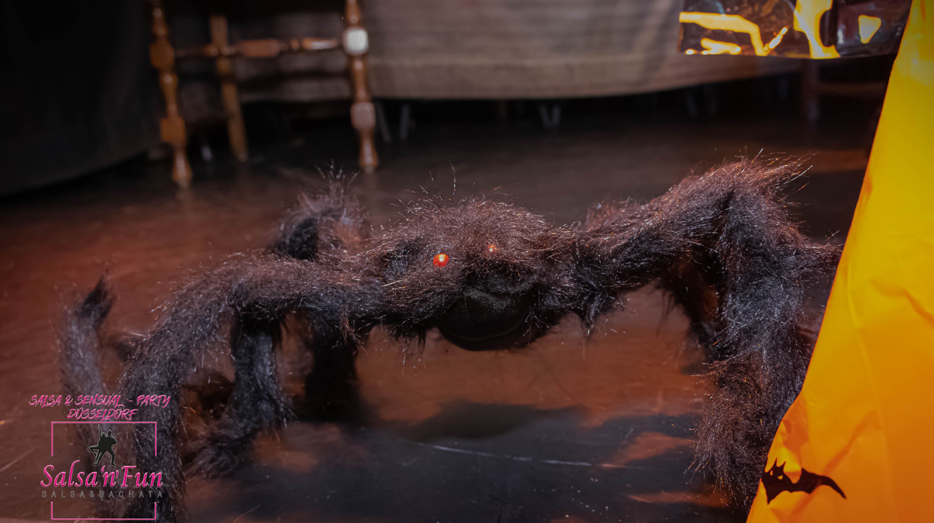 Halloween Salsa & Sensual Party 2024 - Bild 20