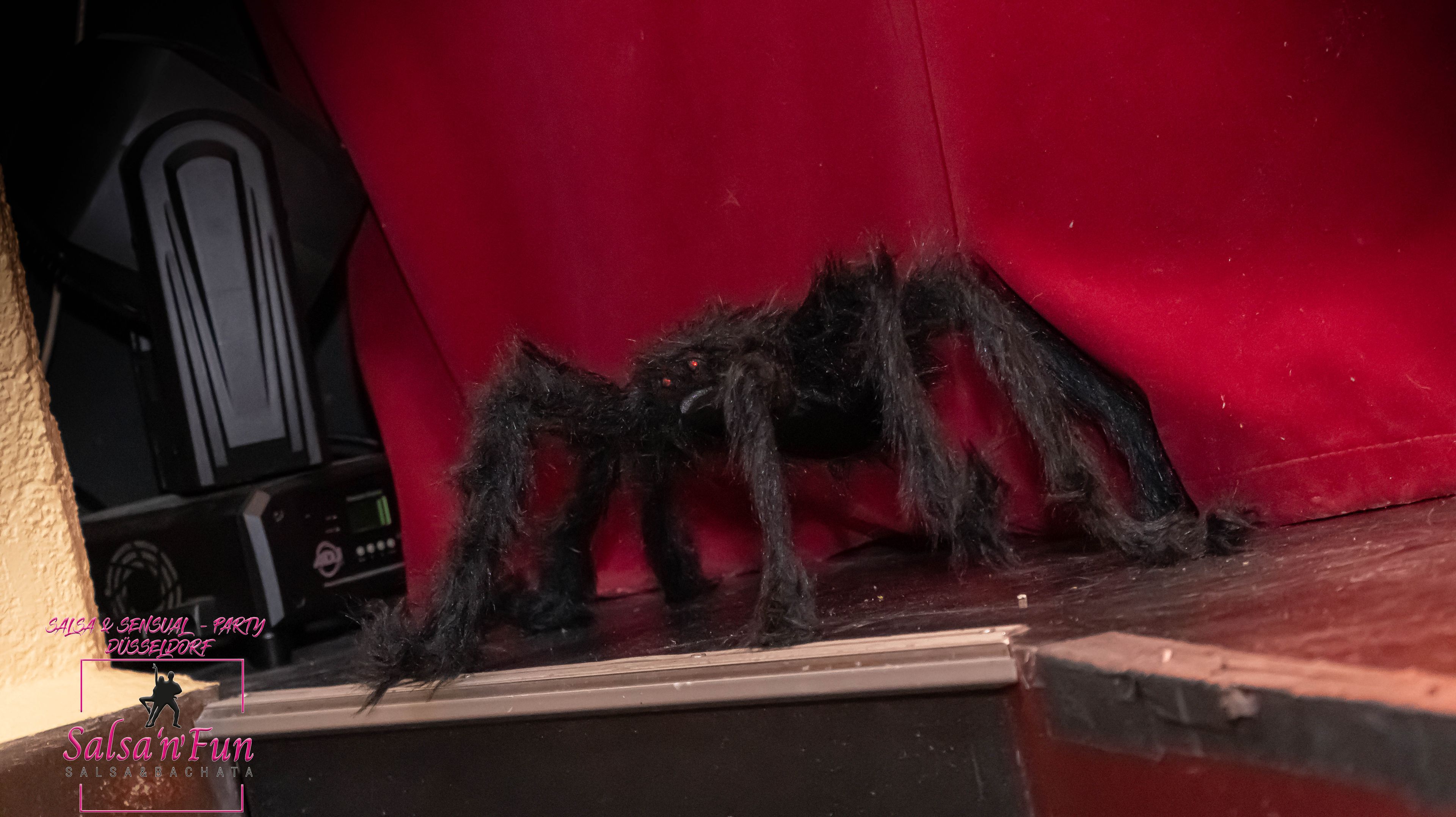 Halloween Salsa & Sensual Party 2024 - Bild 21