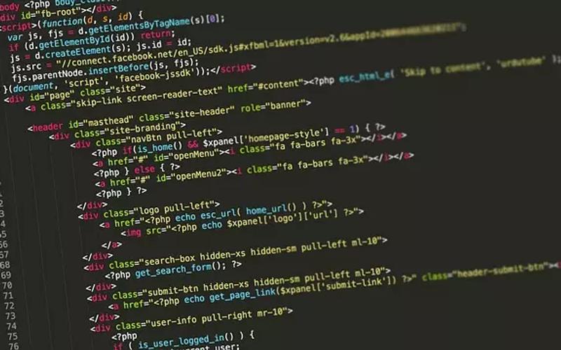 1. Why Freelance WordPress Development is Ideal for Small Businesses