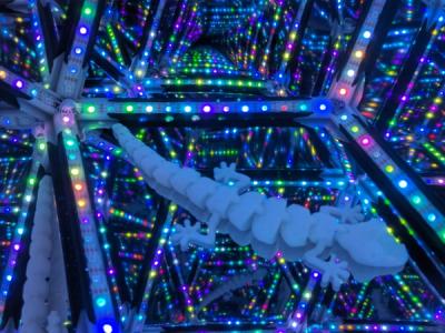 3D-printed gecko toy inside the Rhombotron with dense reflections of glowing, multi-colored LEDs