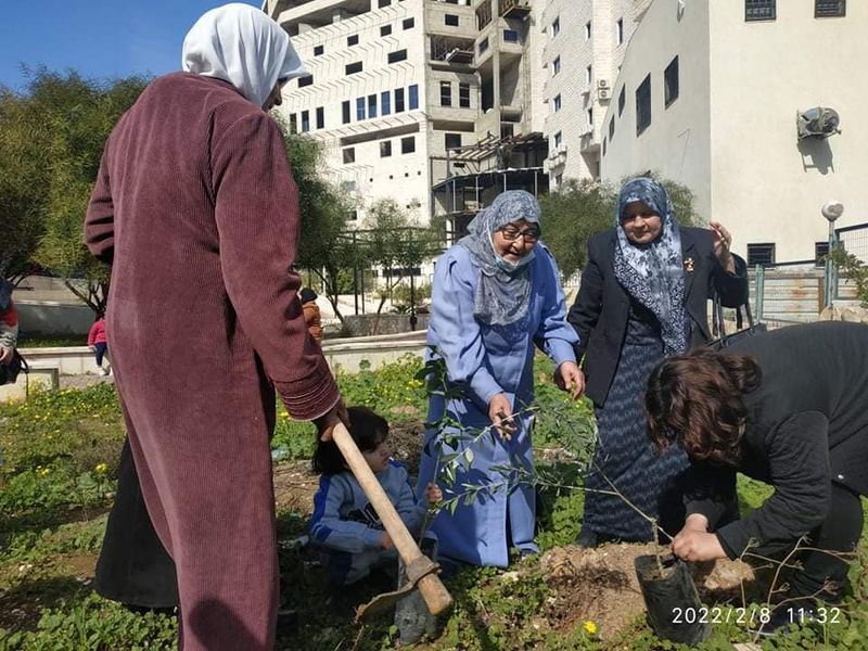 Jenin Project