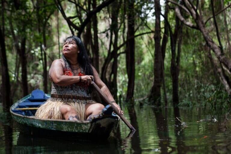 Rainforest Foundation UK