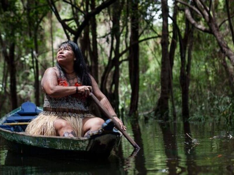 Rainforest Foundation UK