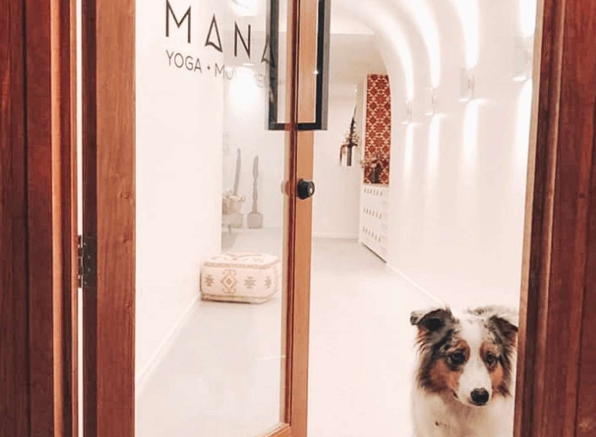 Elements Studio, Aria retail offering located in Fish Lane, South Brisbane.