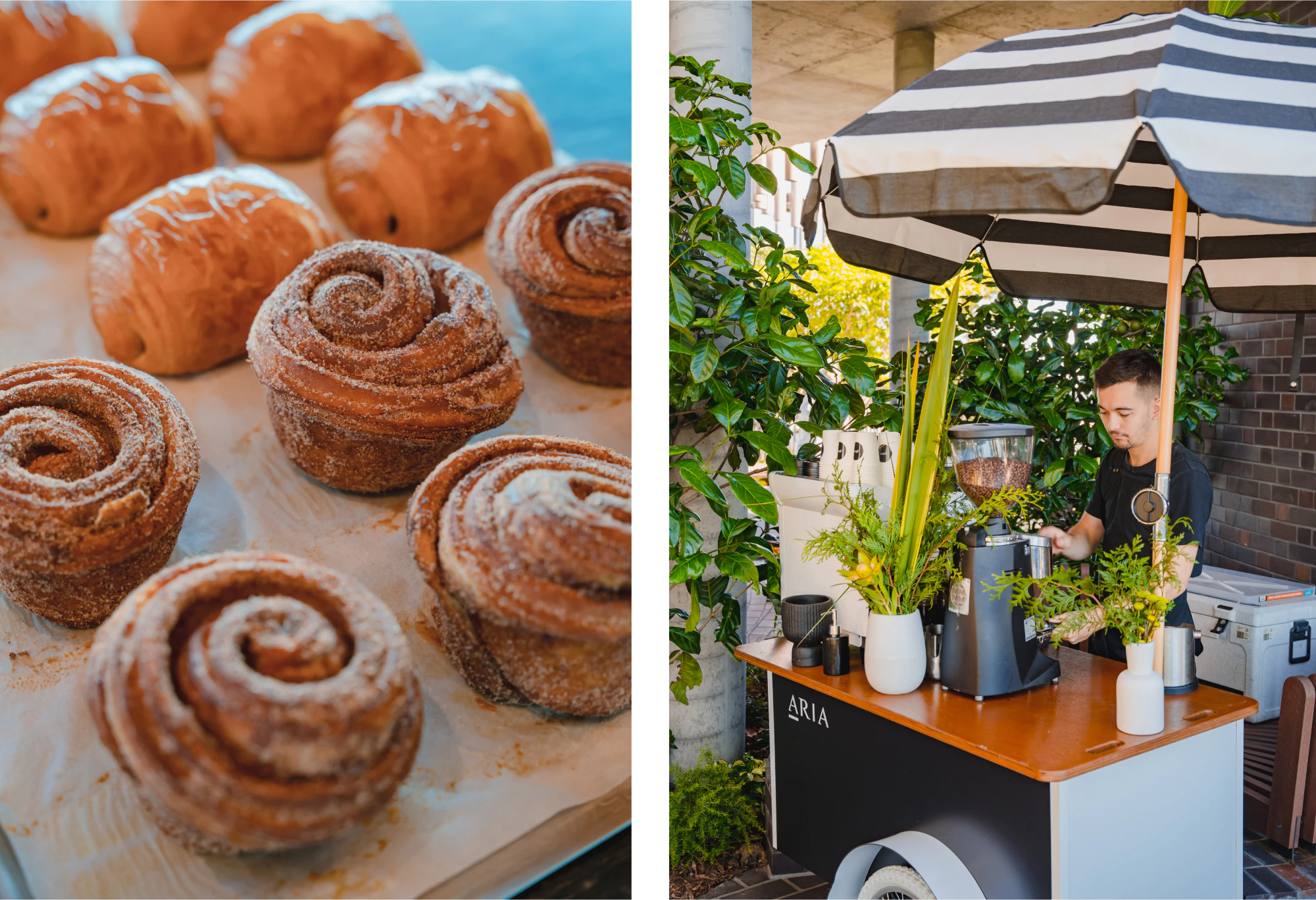 Aria Property event in South Brisbane.