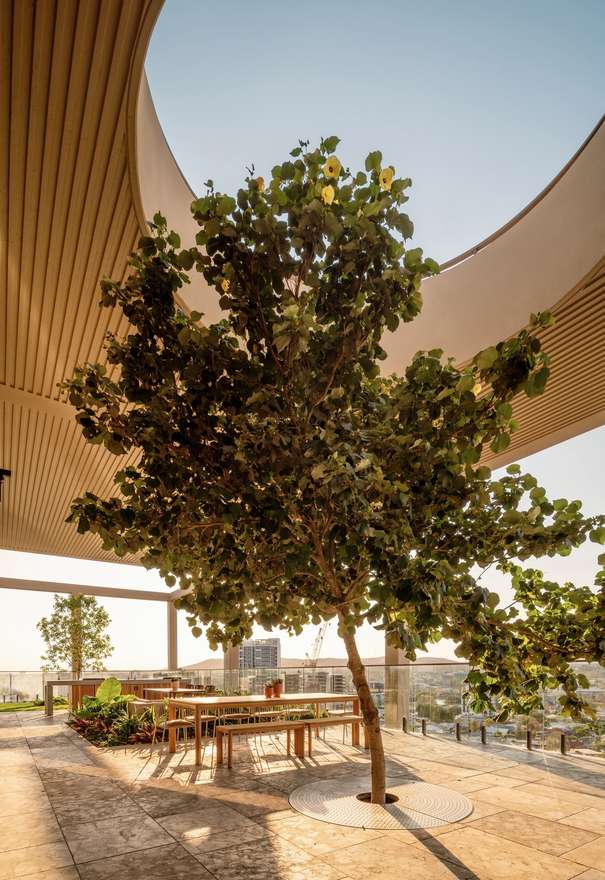 Located adjacent to one of Brisbane’s oldest and most iconic parklands, Trellis graces the city skyline with a distinct architectural form.