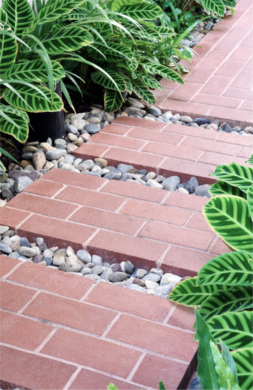 Fish Lane by Aria, offers public art installations, pop-ups, restaurants, speakeasies, wine bars, cafés and more, located in the heart of South Brisbane.