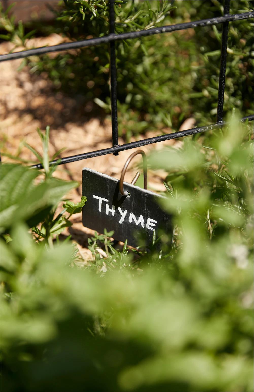 The Drapery by Aria located in Woolloongabba, community garden.