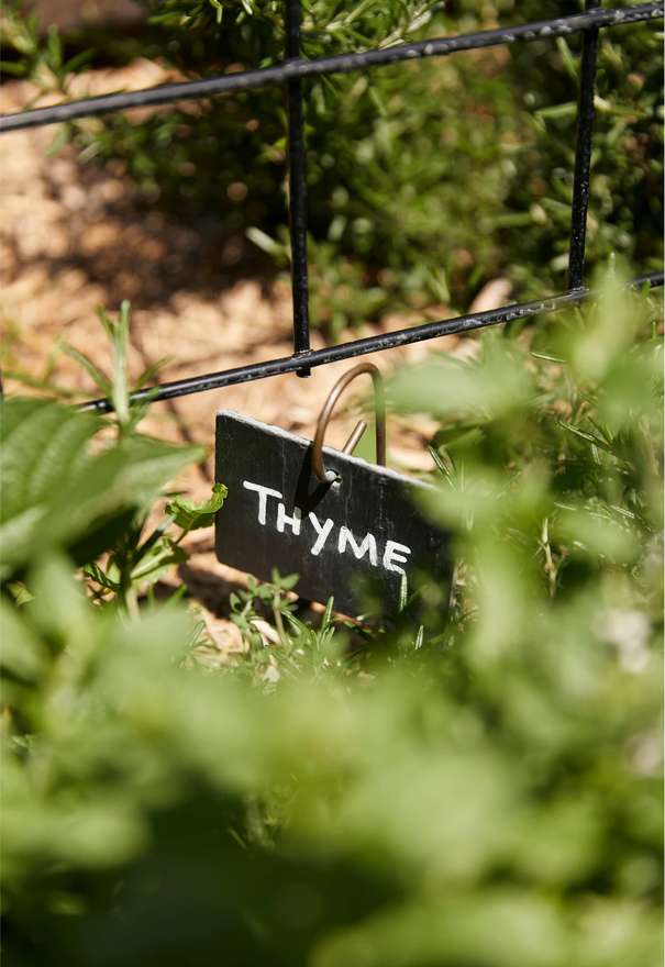 The Drapery by Aria located in Woolloongabba, community garden.