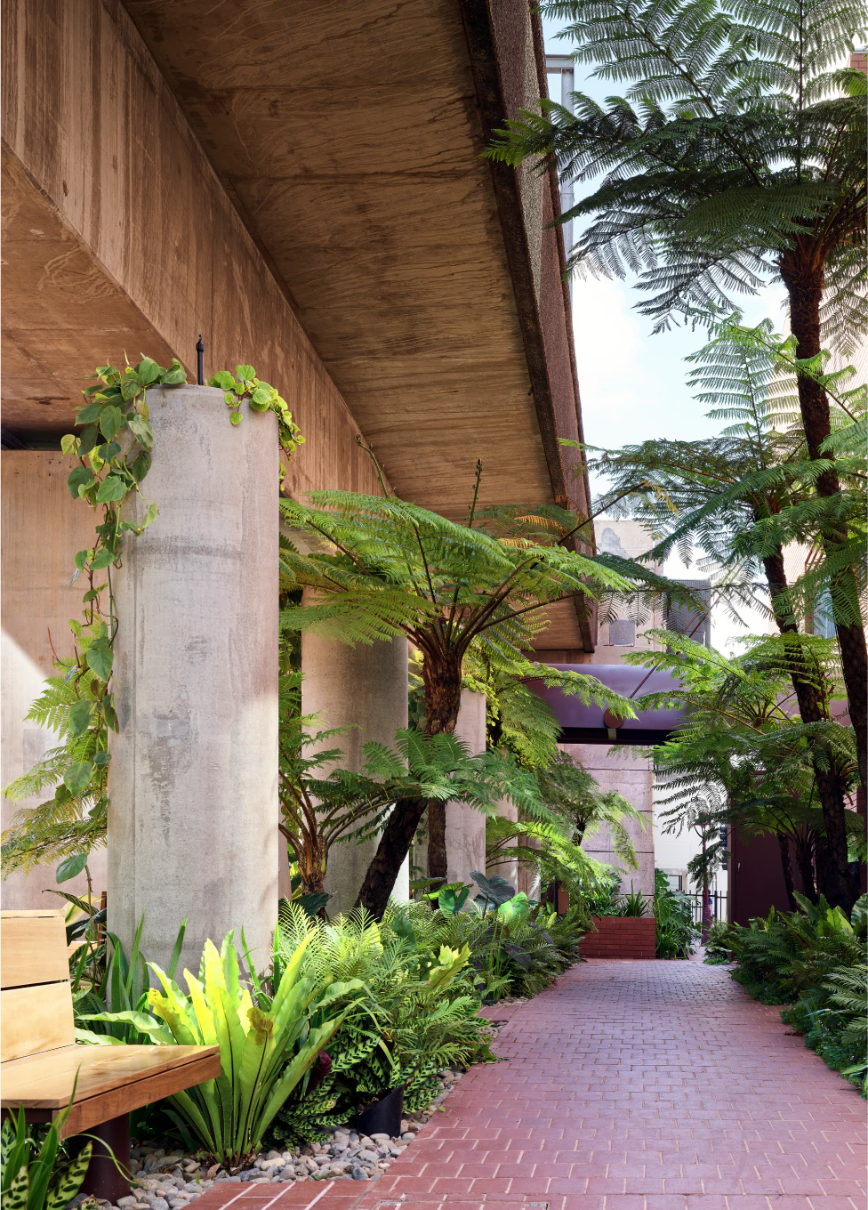 Fish Lane Town Square located in South Brisbane.