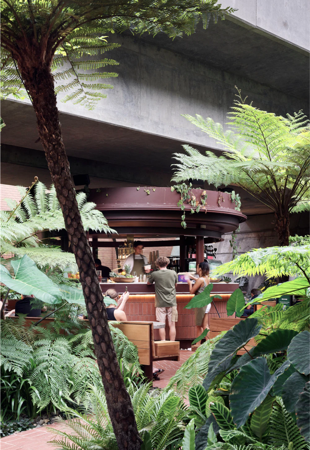 Fish Lane by Aria, offers public art installations, pop-ups, restaurants, speakeasies, wine bars, cafés and more, located in the heart of South Brisbane.