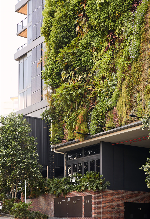 Botanica Residences by Aria, located in South Brisbane.