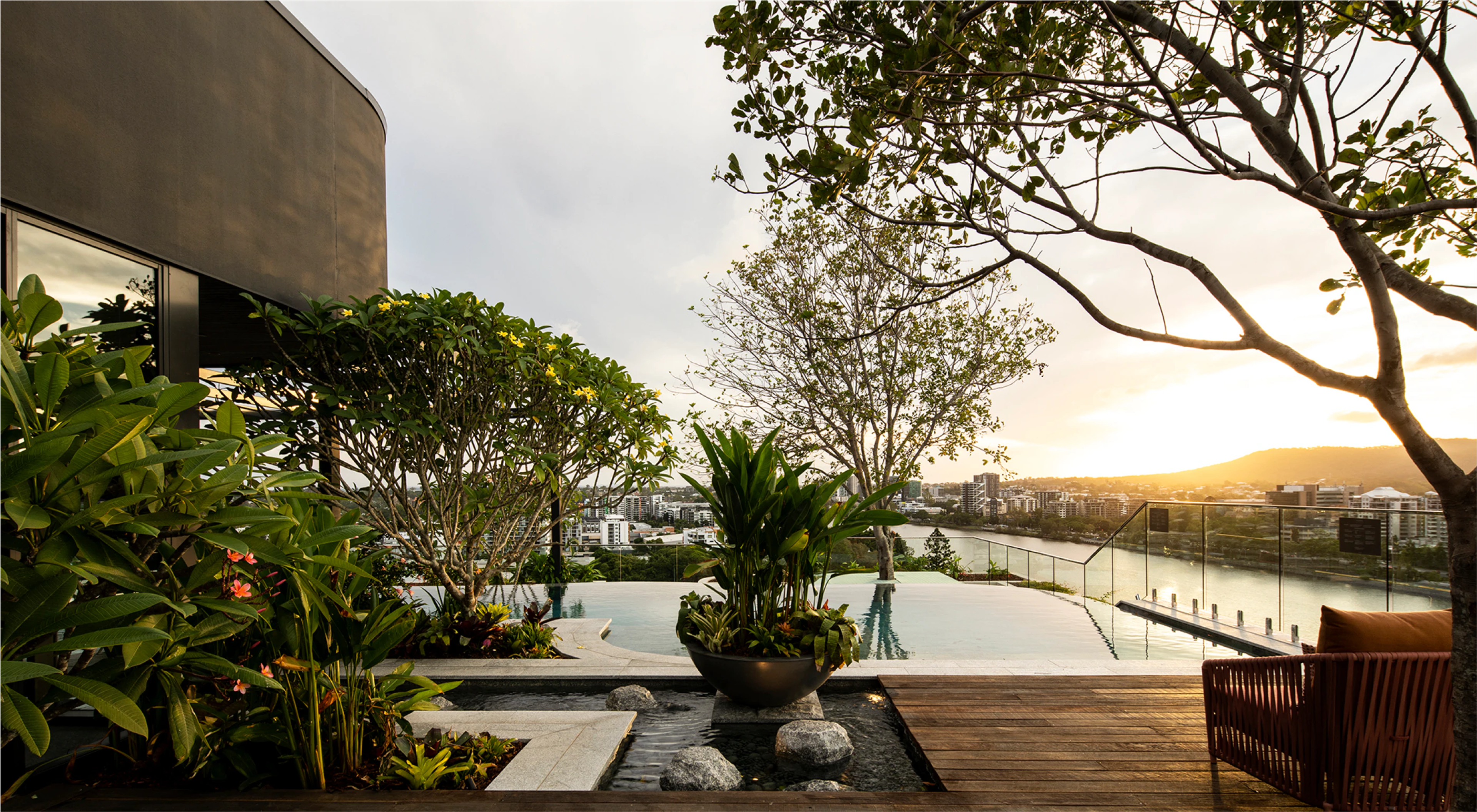 Treehouse rooftop