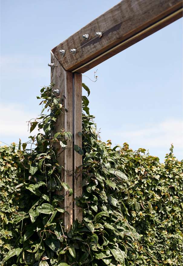 The Drapery by Aria located in Woolloongabba, the building embraces the tapestry of the local area and delivers a series of dramatic landscaped outdoor plazas, gardens and balconies in a unique and visually stunning manner.