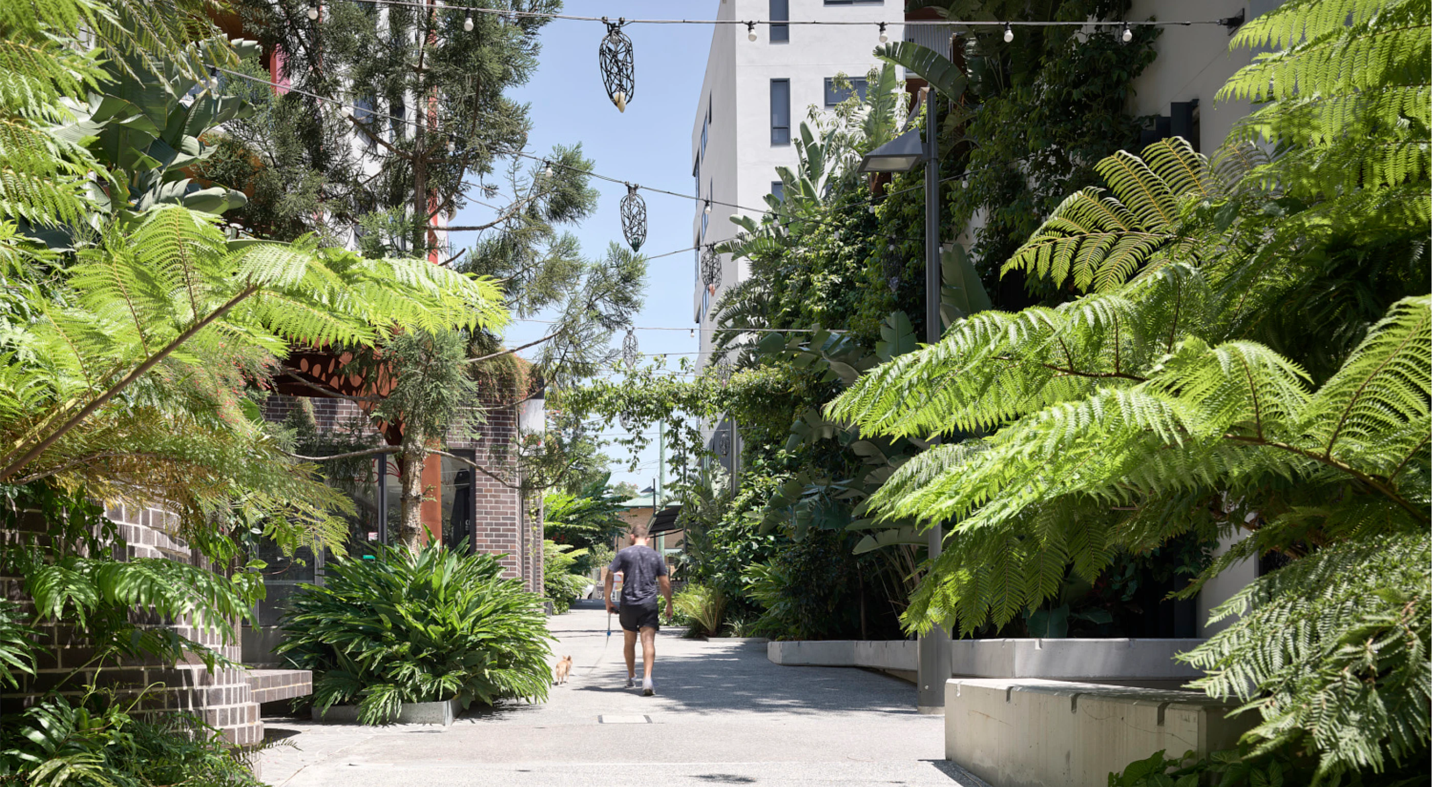 Eden Laneway by Aria in South Brisbane.