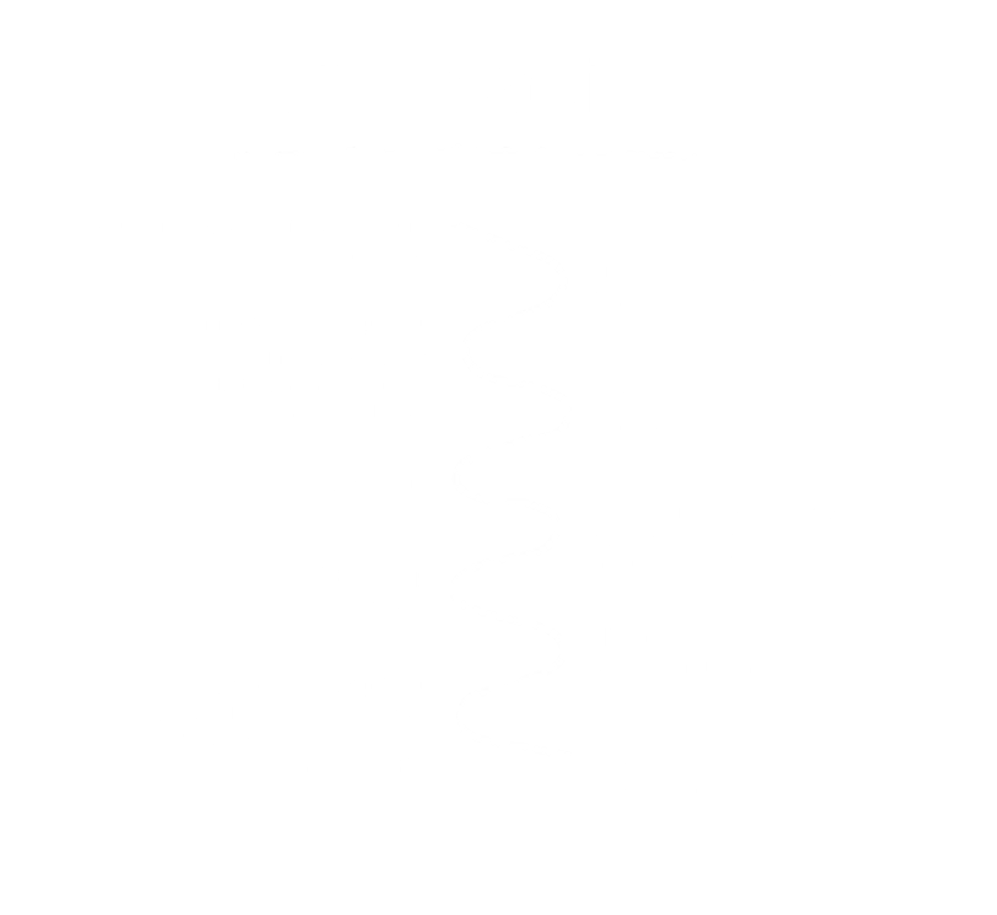 Life at Advice model