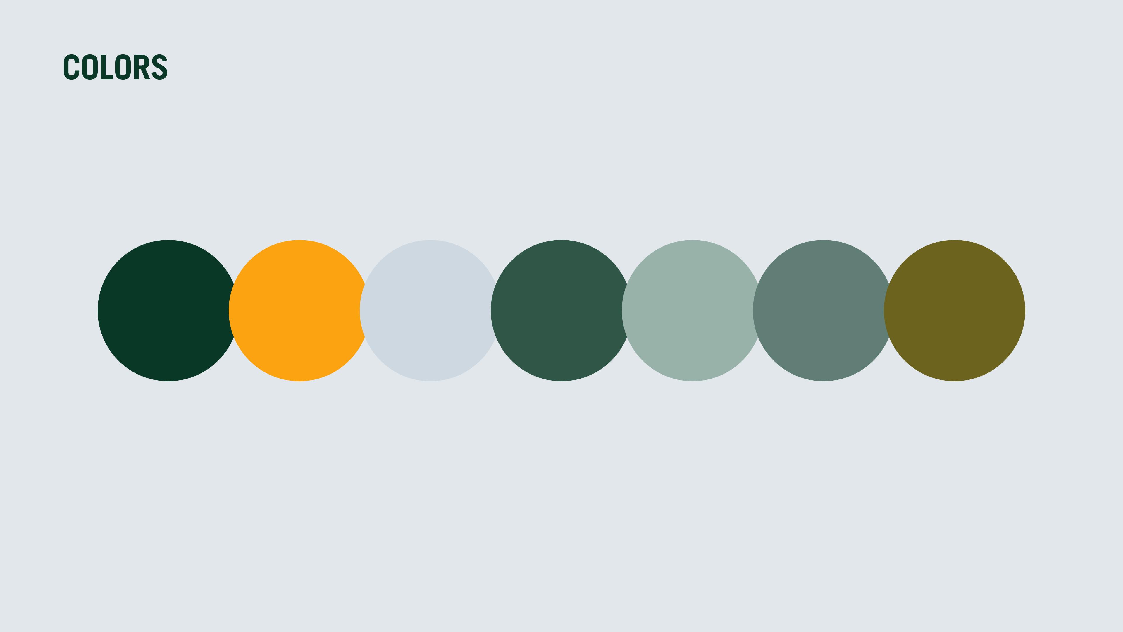 Color palette