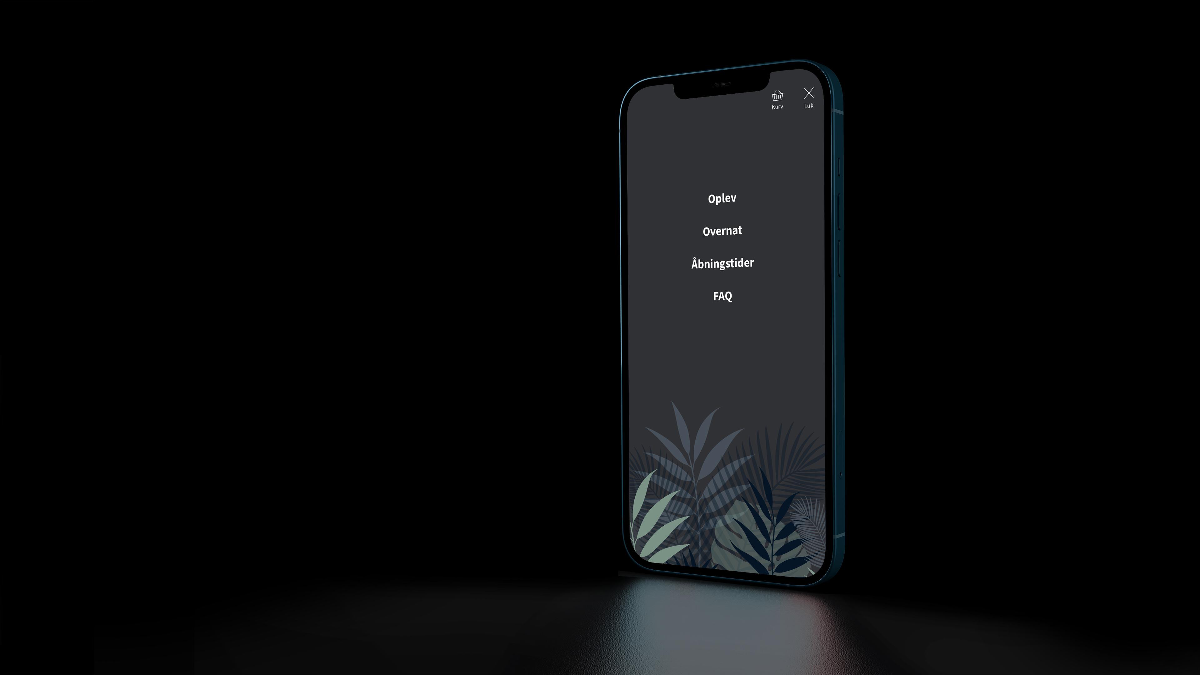 Website on mobile