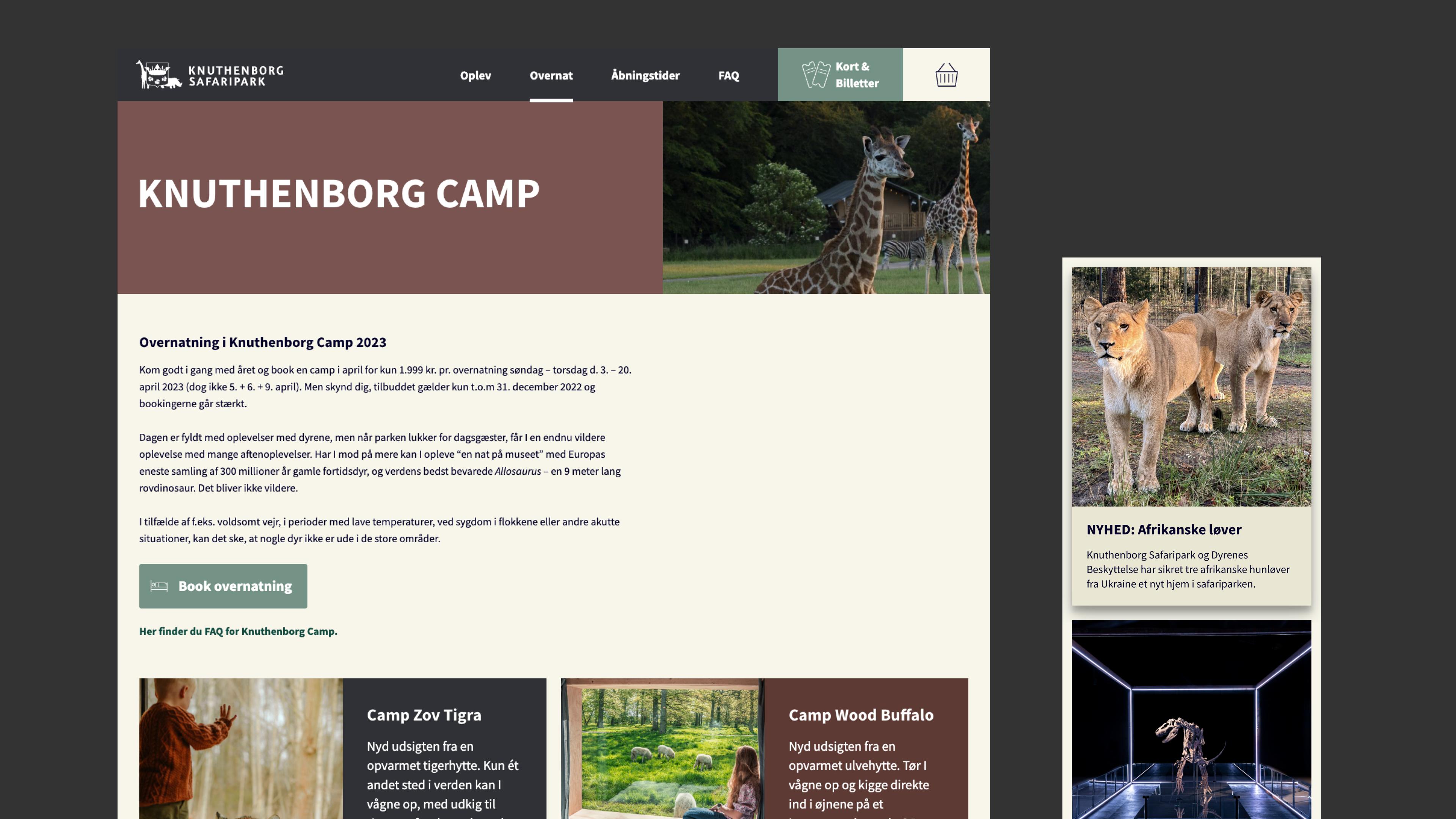 Website on desktop and mobile