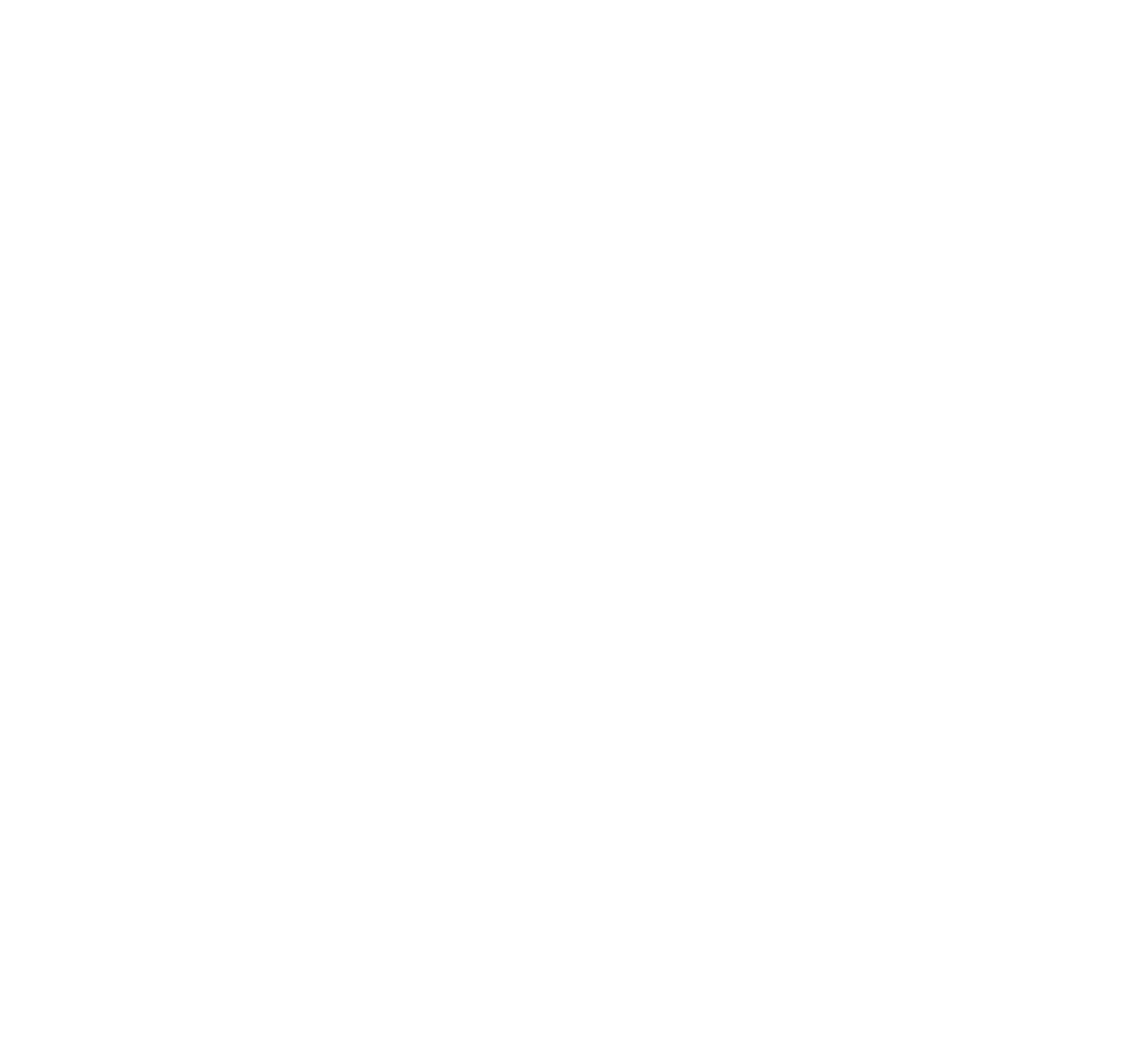 Life at Advice model