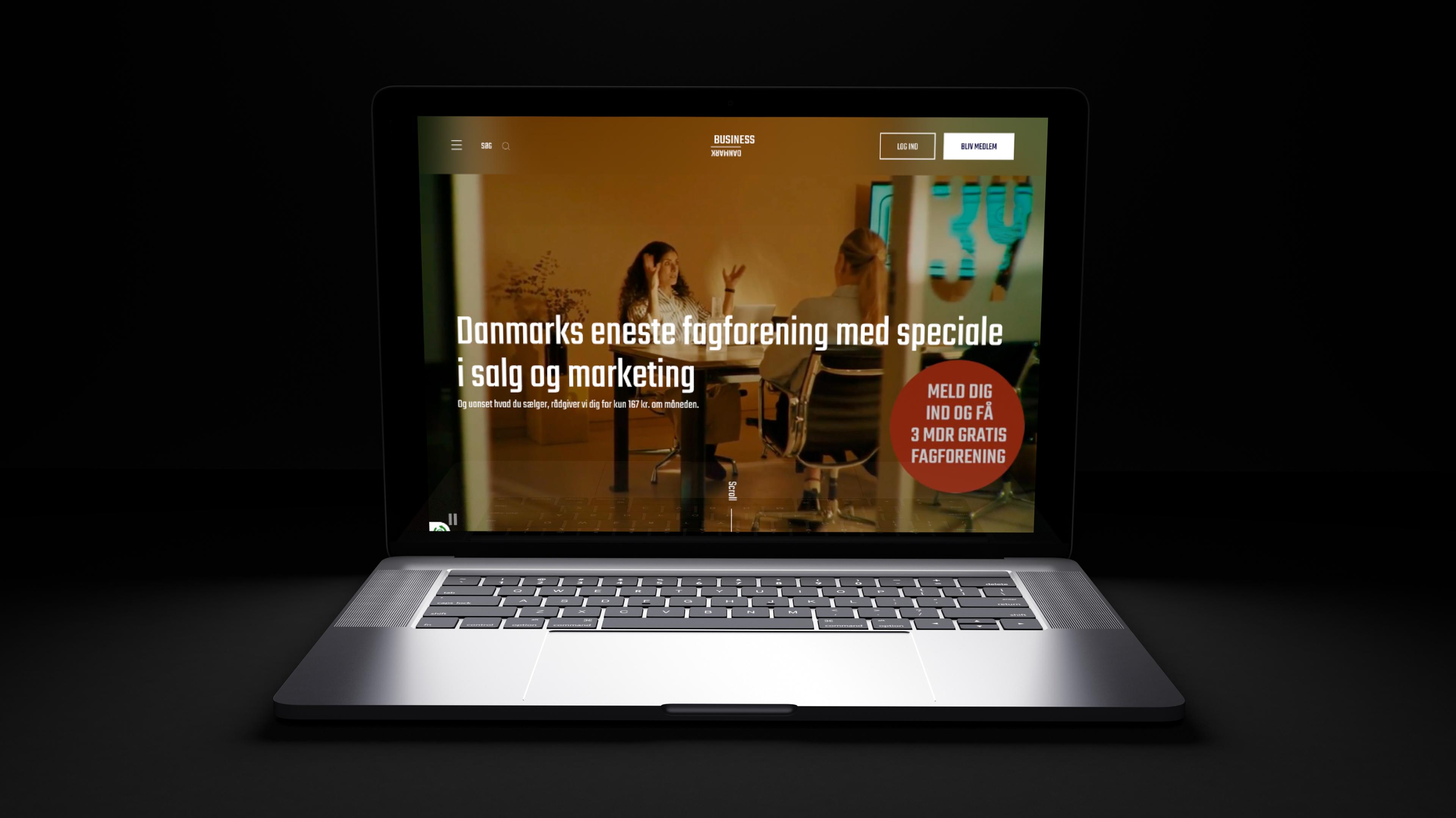 Screenshot computer business danmark