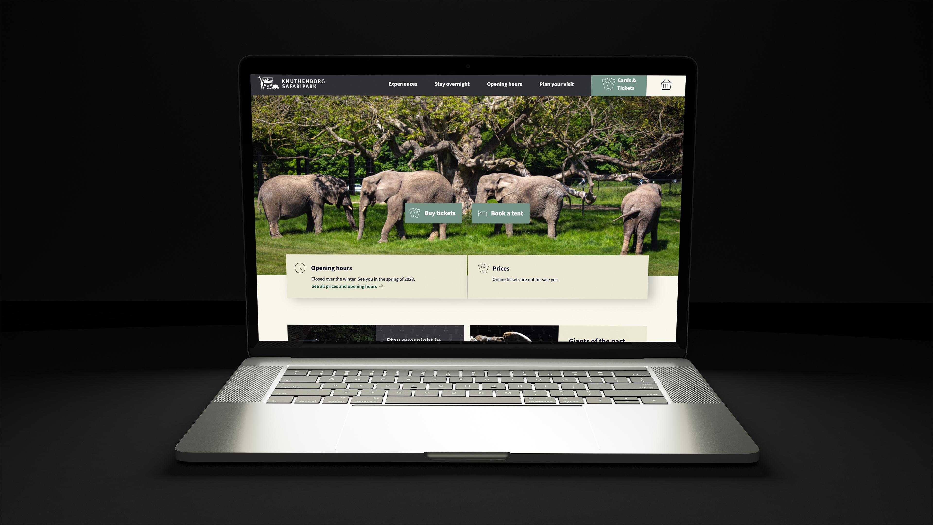 Website on desktop