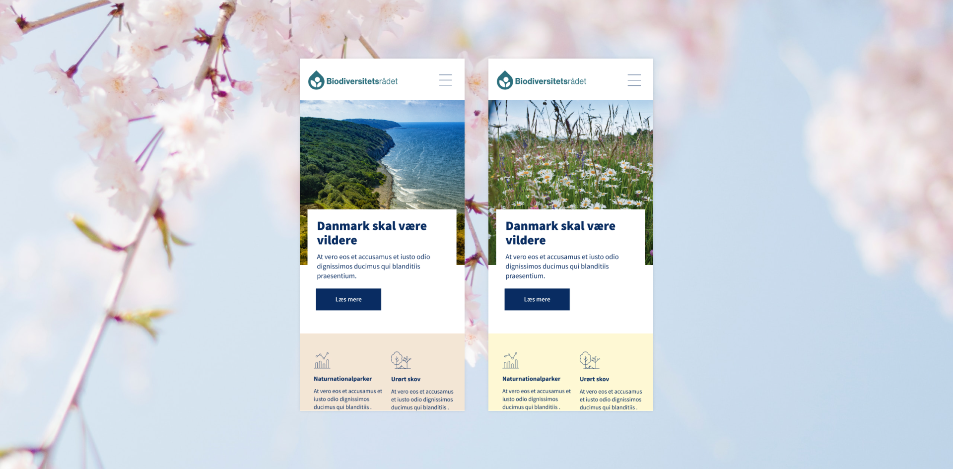 Website