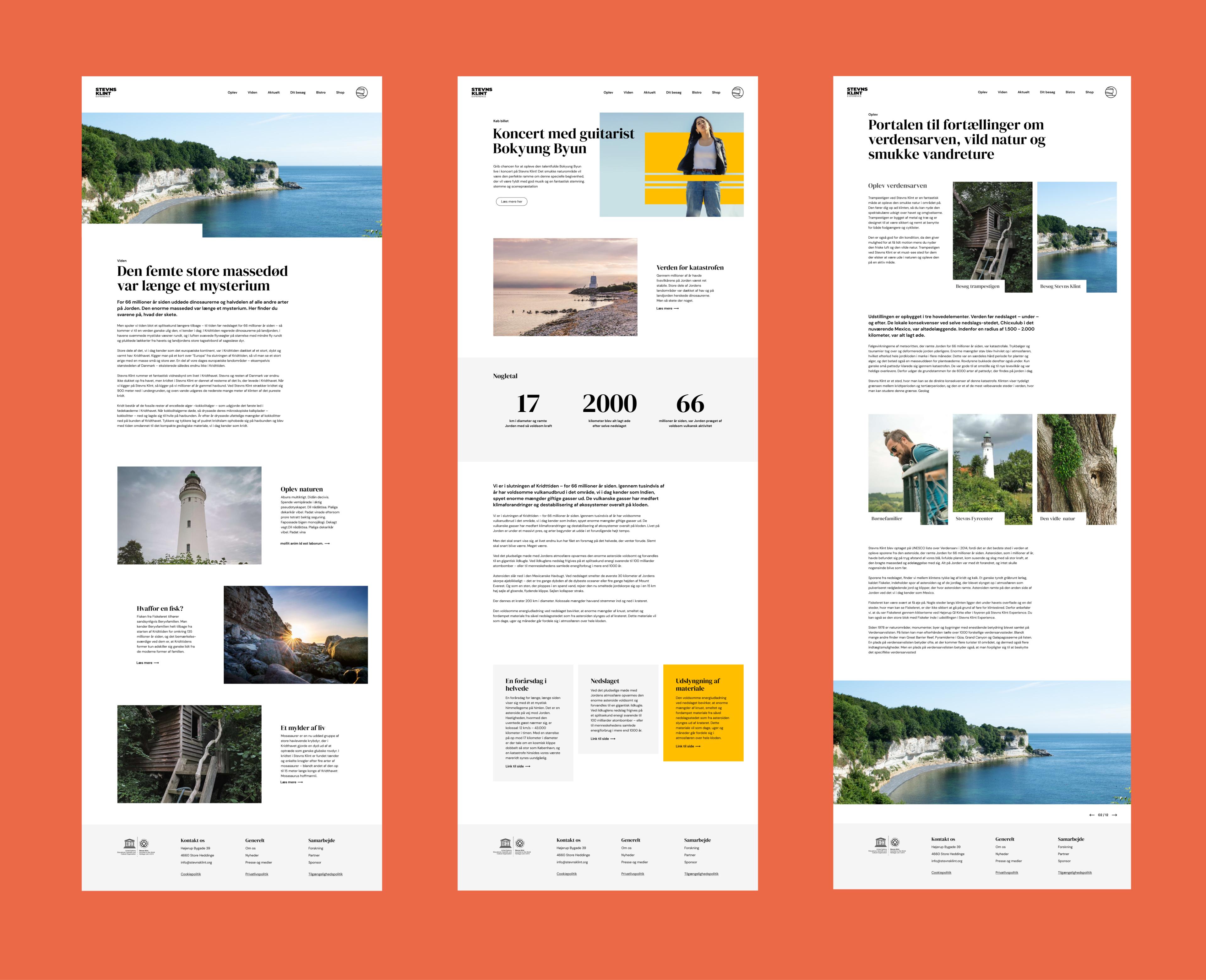 Website design