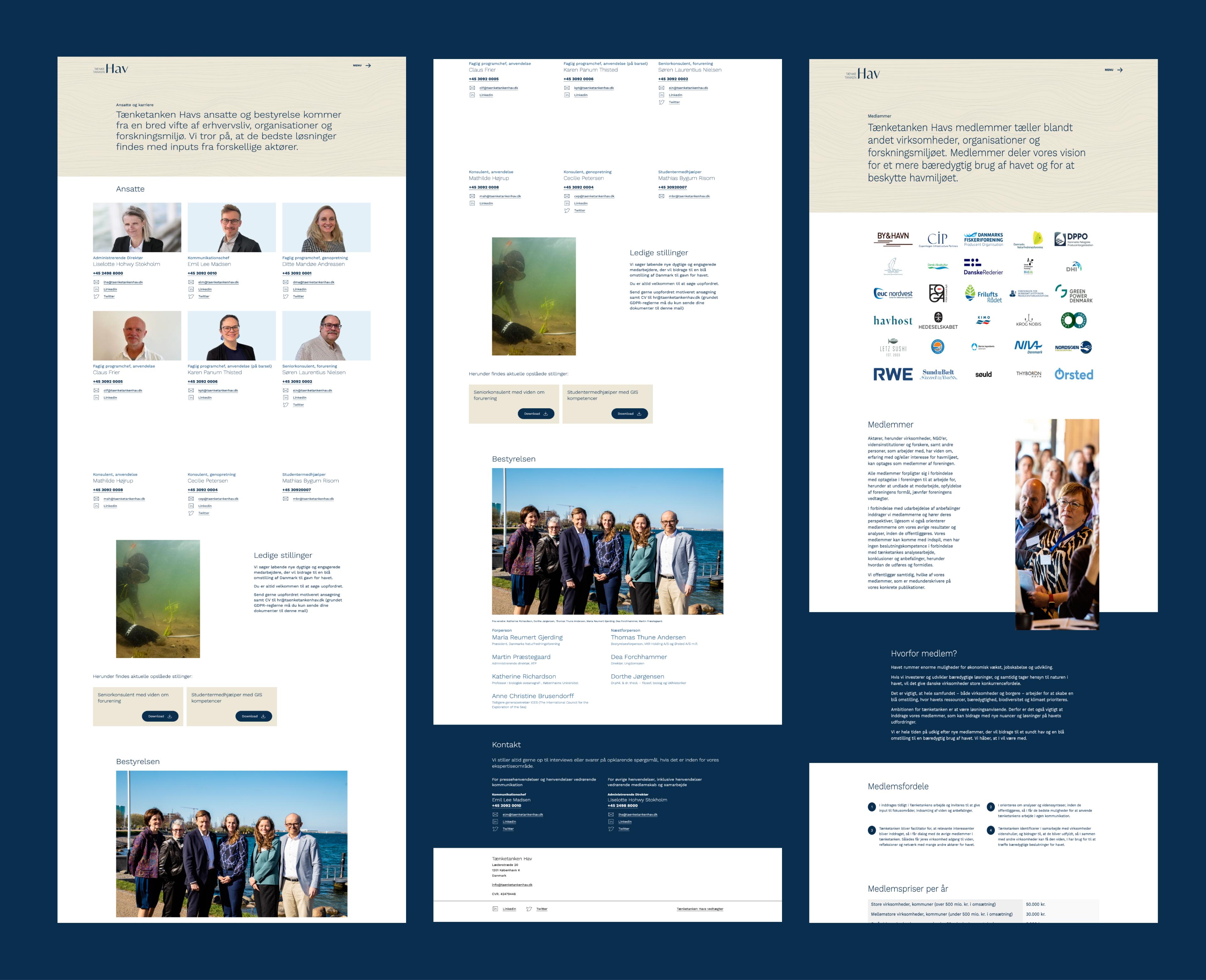 Website on desktop