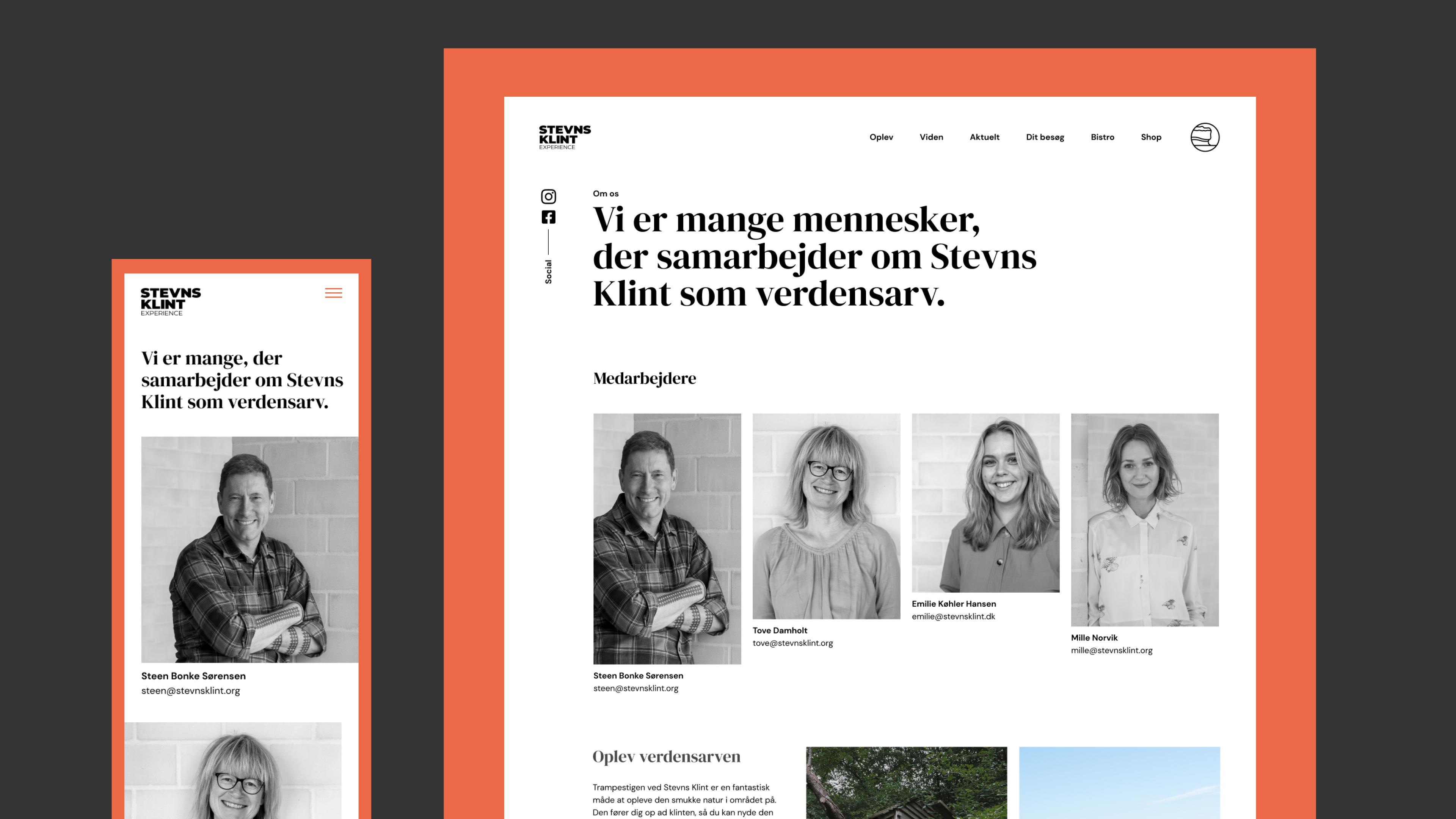 Website and mobile