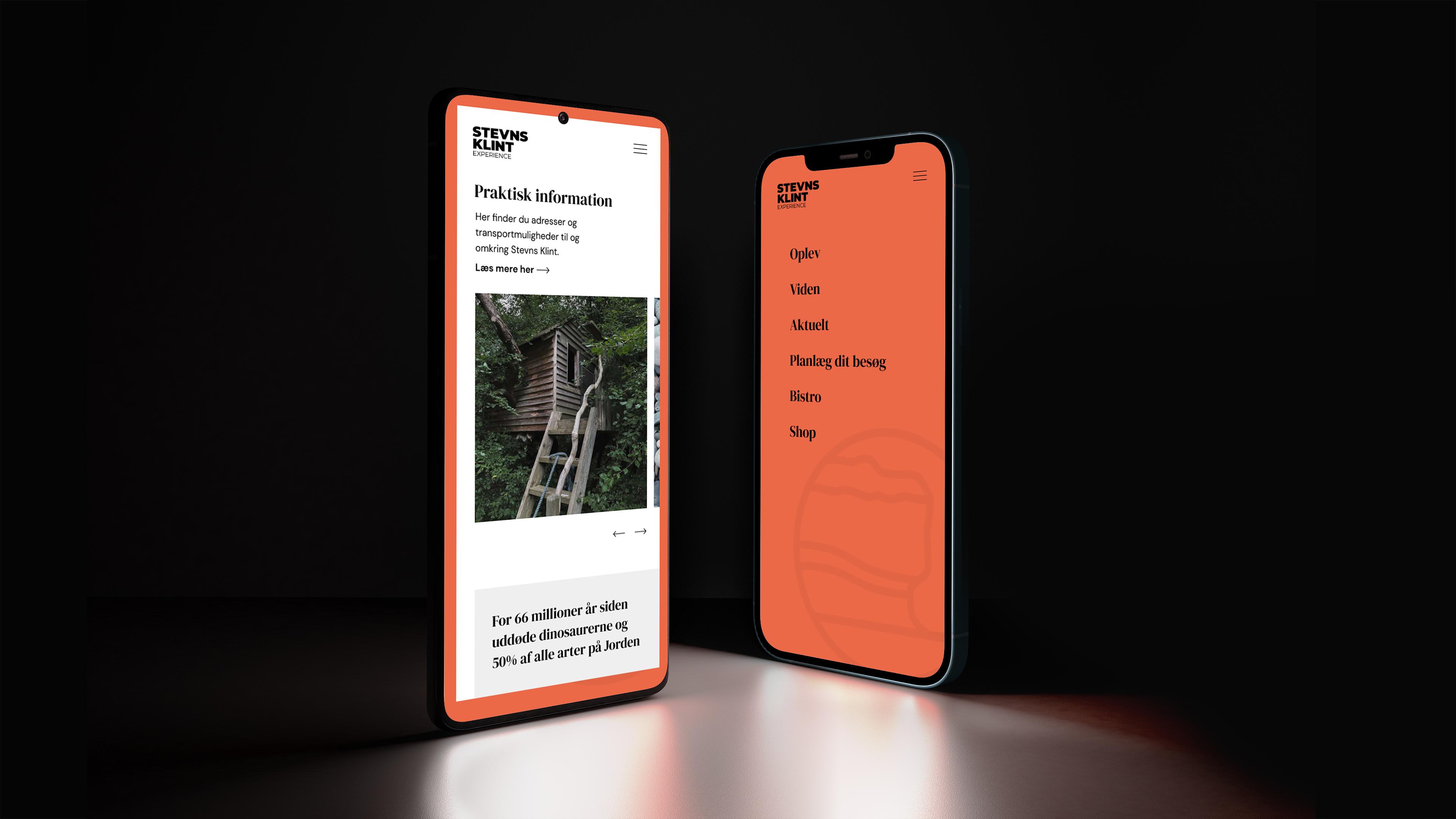 Website on mobile