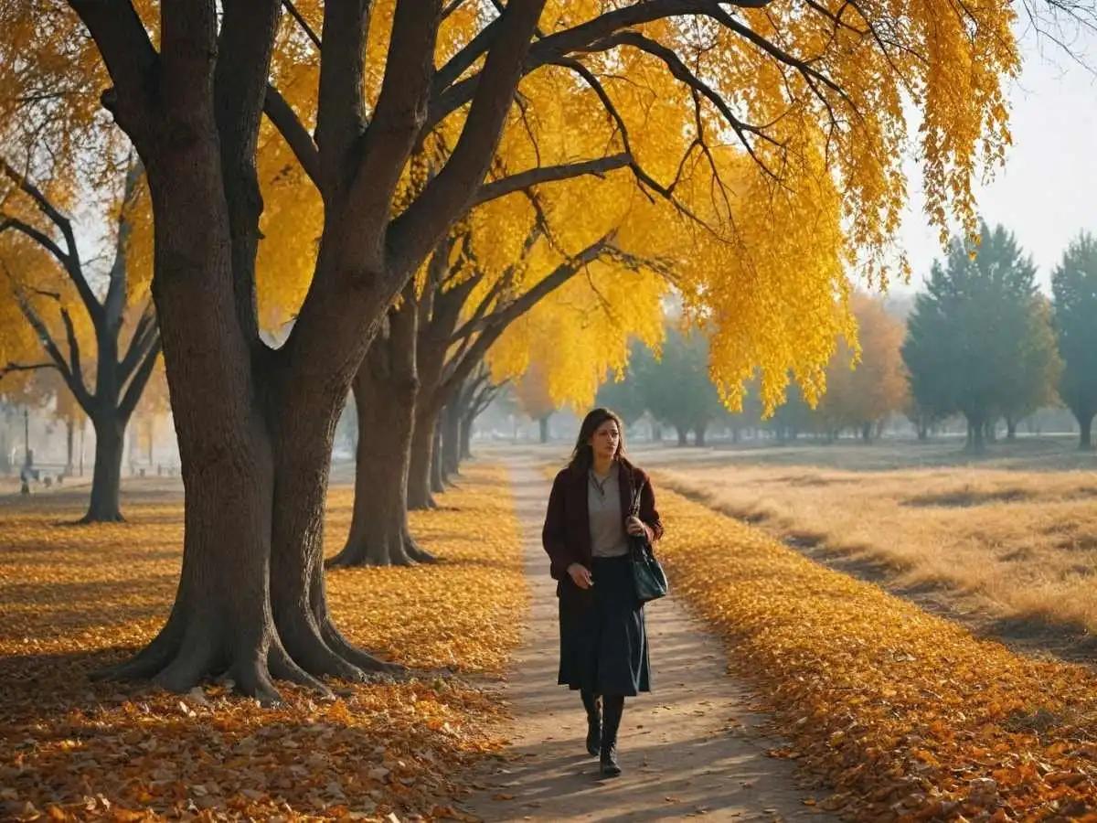 Autumn