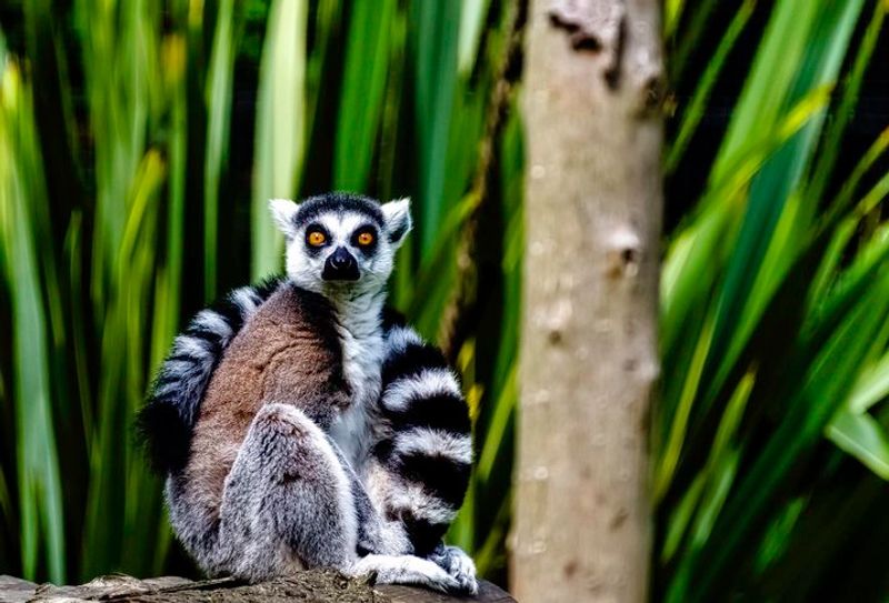 Best Time to Visit Madagascar