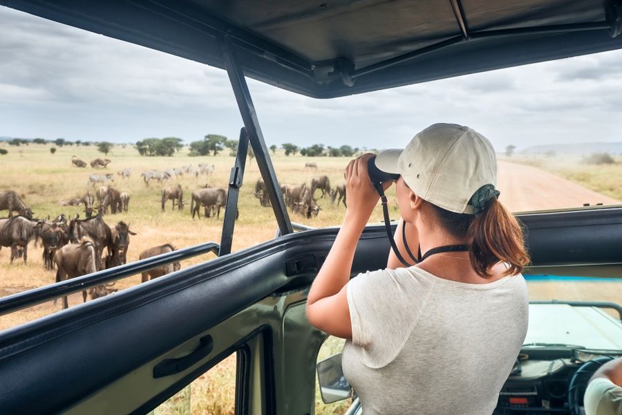 Tanzania Safari