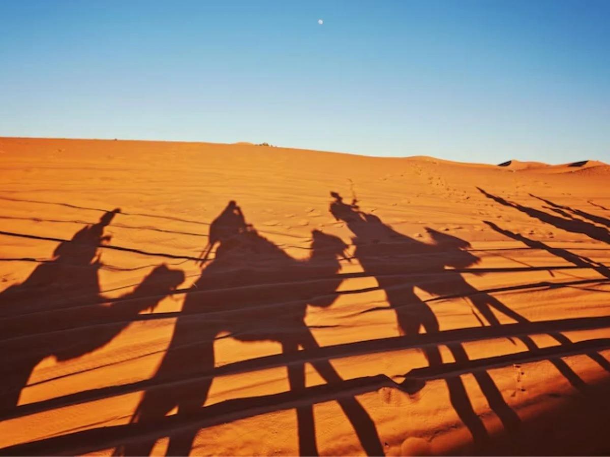 Desert Safari Activities