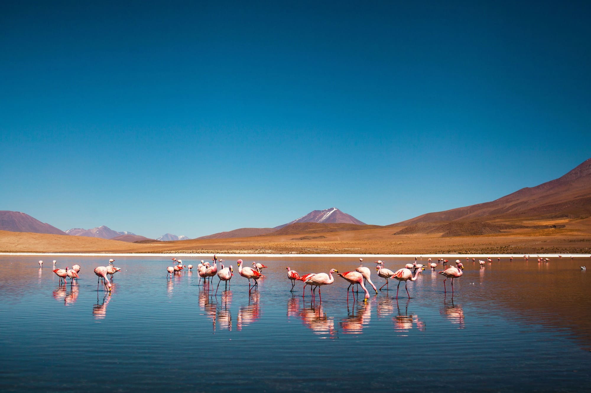 Bolivia.Uyuni