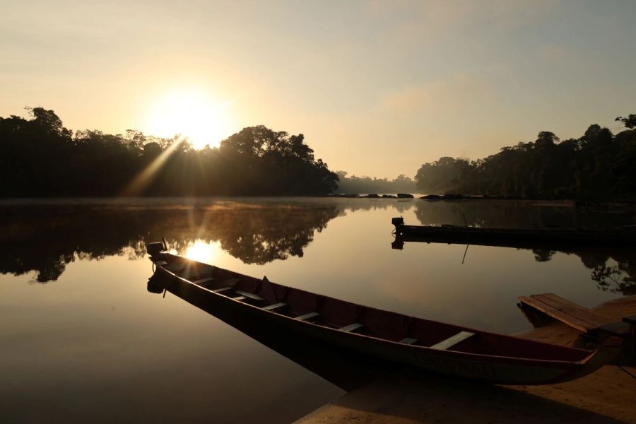Guyana and Suriname Tailormade - Journey into the Wild Guianas 