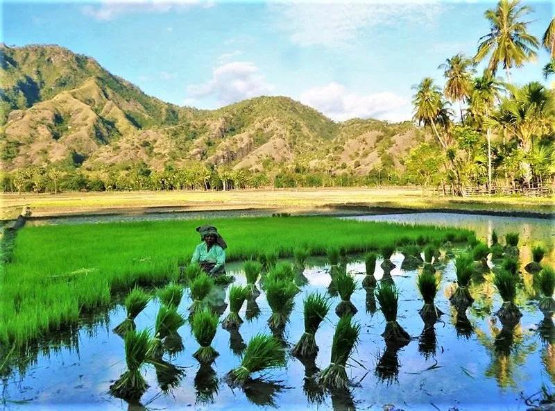 East-Timor-Tour-2-2