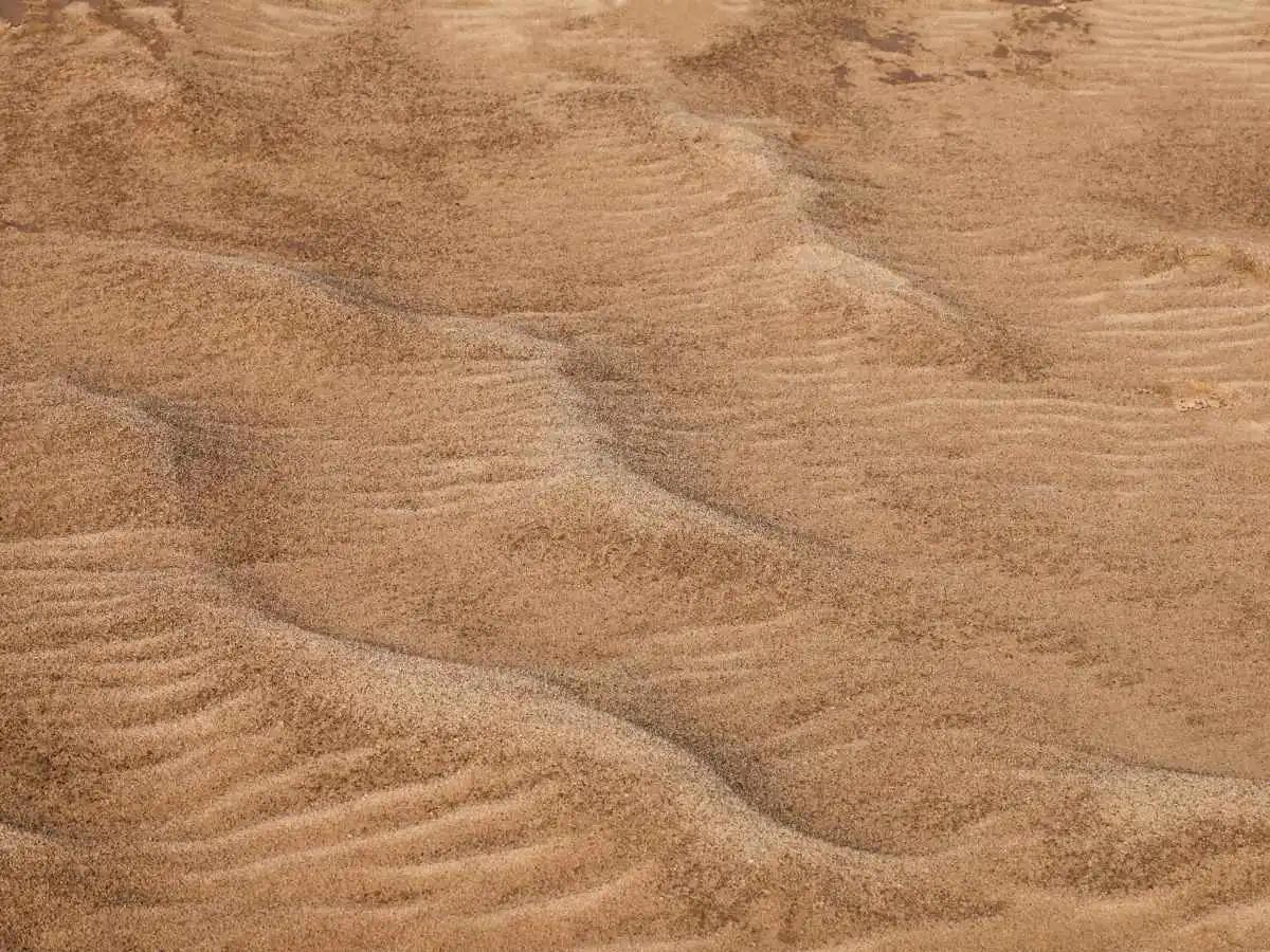 Khongoryn Els in the Gobi Desert