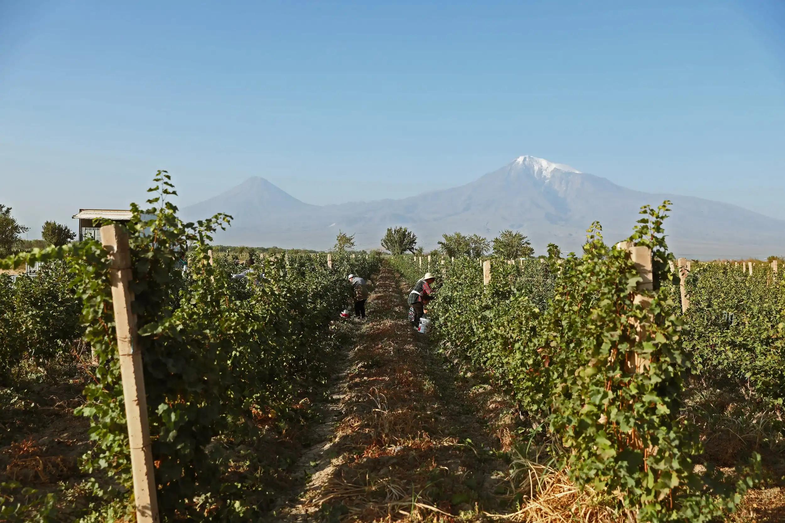 Armenia – Wander and Wine: The Armenian Way