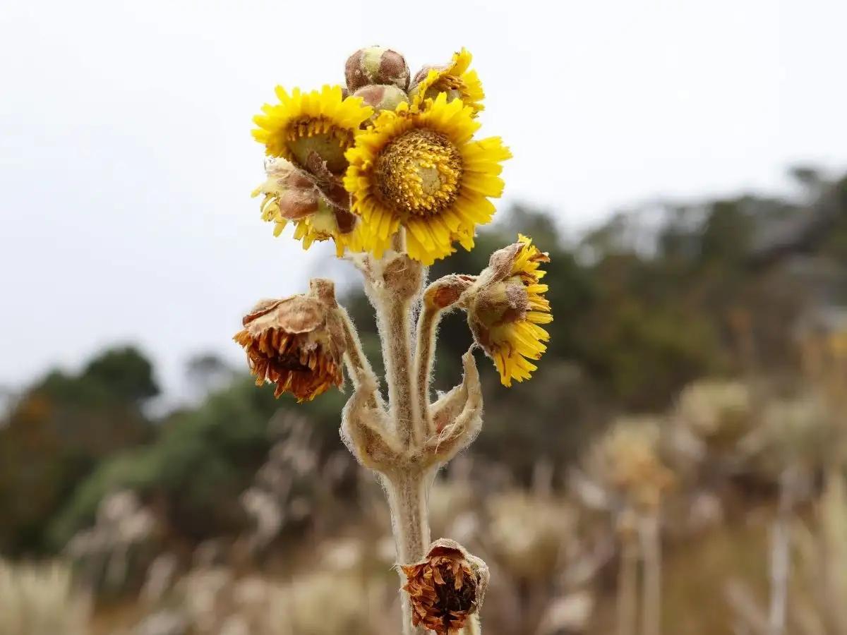 Colombian Ecosystems