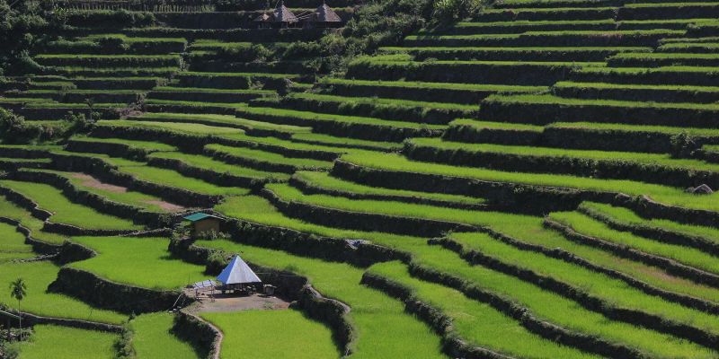 Philippines – Emerald Terraces of the Cordillera