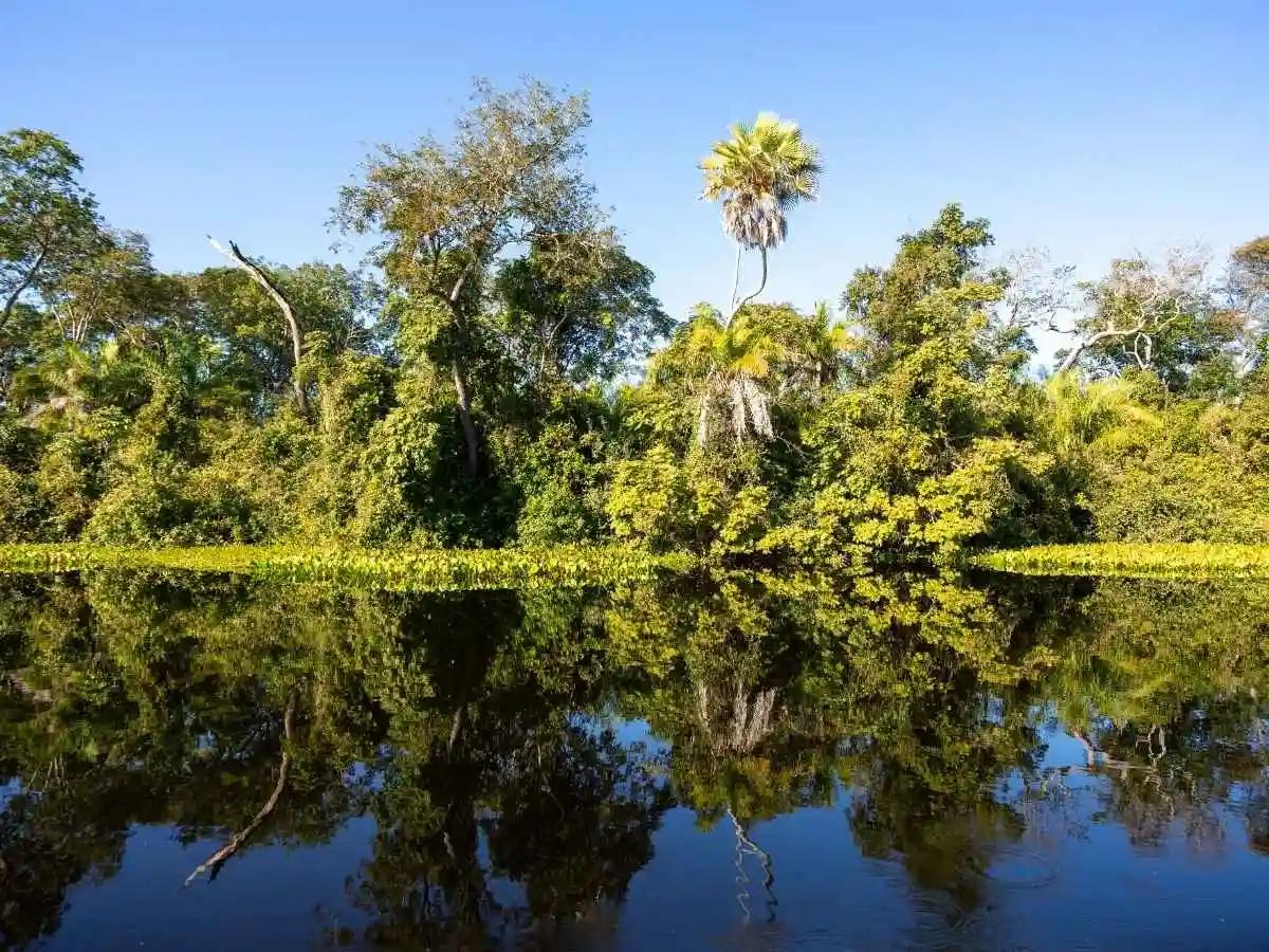A Wildlife Frontier for the World