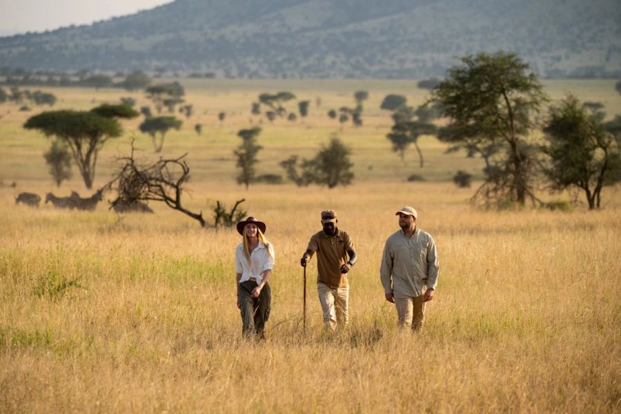Tanzania – Serengeti & Beyond Tailormade