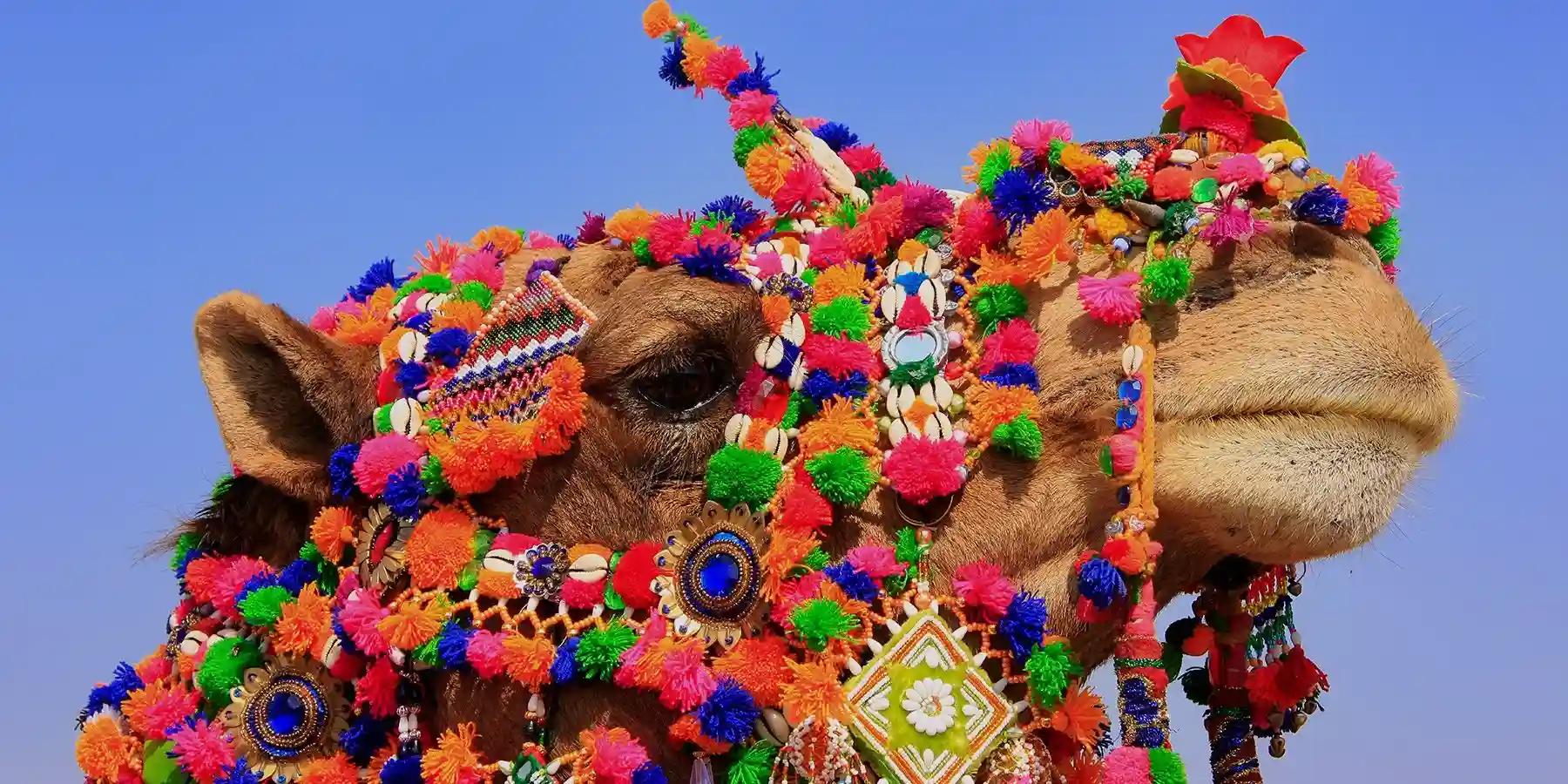 India-Destination
