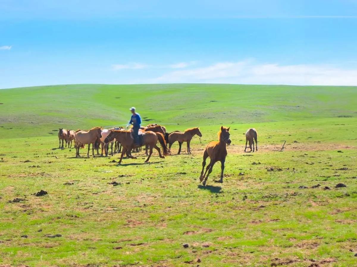 Interesting Places to Visit in Mongolia