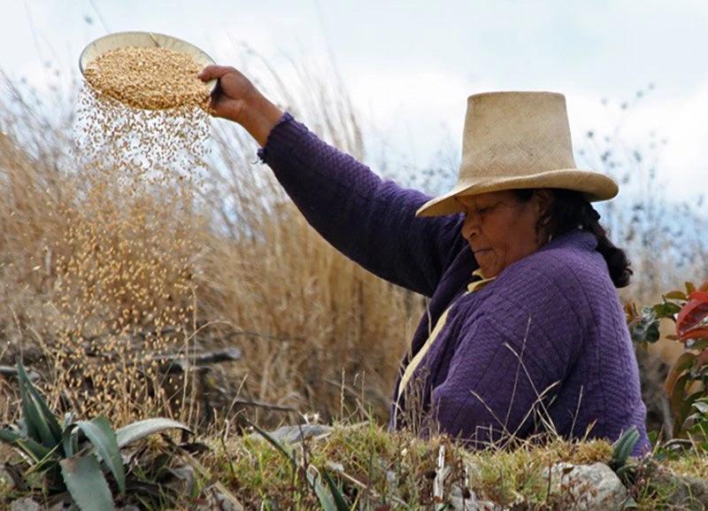 Peru-3-Cajamarca-Farmers