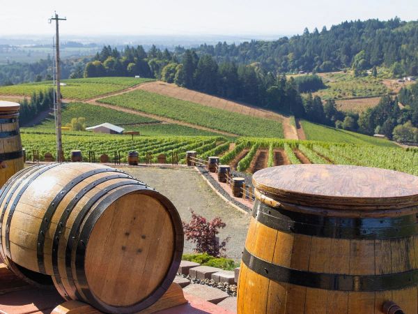 wine barrels